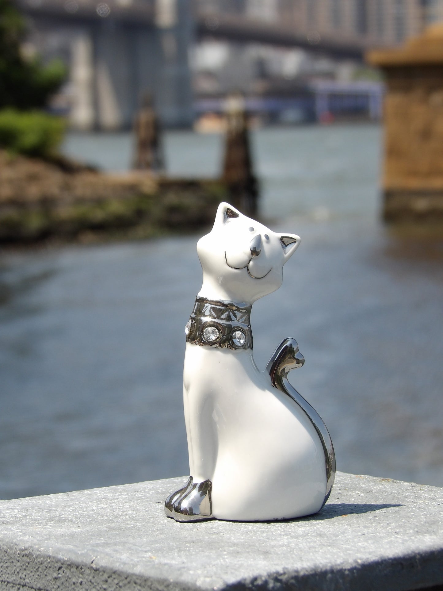 White Procyclin Cat with Silver Color and Crystals