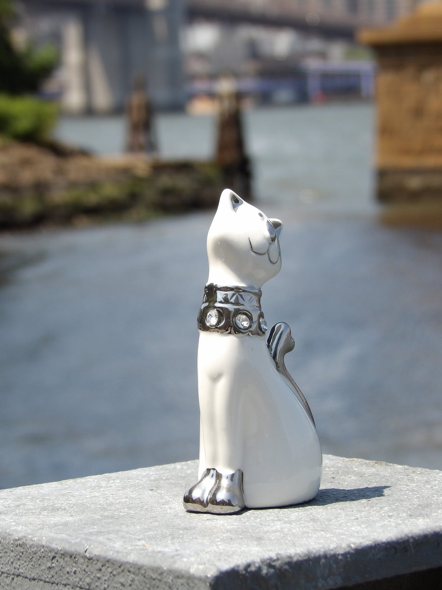 White Procyclin Cat with Silver Color and Crystals