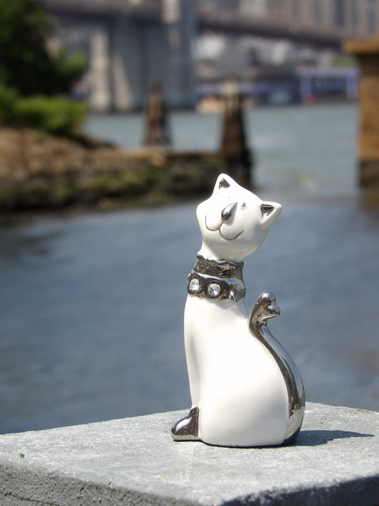 White Procyclin Cat with Silver Color and Crystals